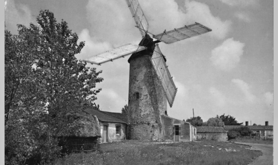 Dans nos archives – « Le Moulin de Rairé 450 ans d’histoire dans le vent »