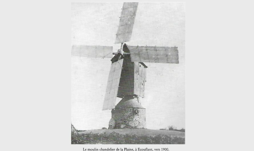 Challans – La Foire des Minées, aurait-elle plus de 600 ans ?