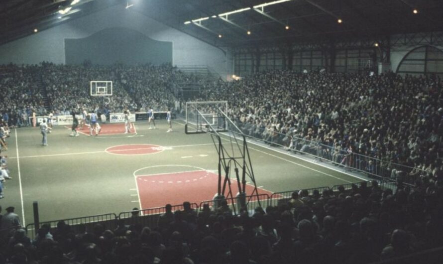 Challans basket – Les plumes de canards d’Orthez