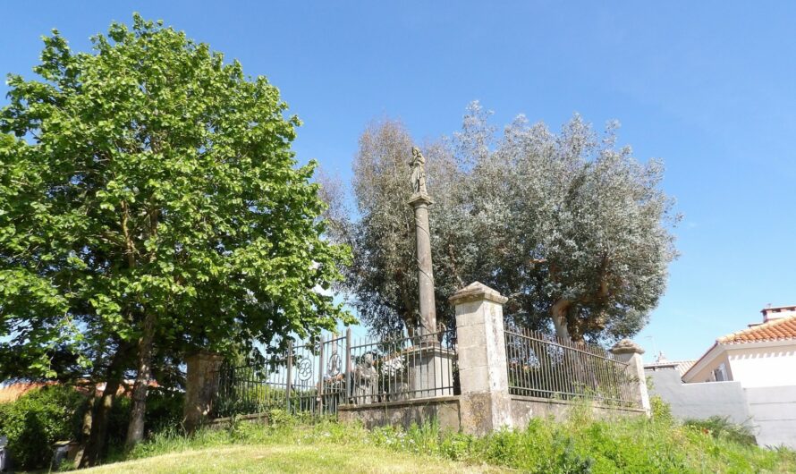 Challans – Les nouvelles visites de la Maison de l’Histoire