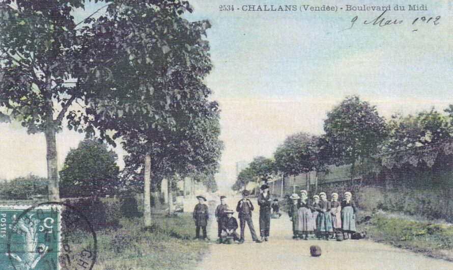 Challans – Les tilleuls du boulevard Lucien Dodin